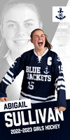 2022-11-22 - Girls Hockey Banners